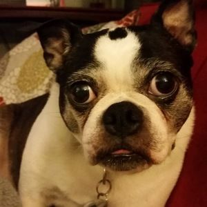 Meet your Posher, Julie